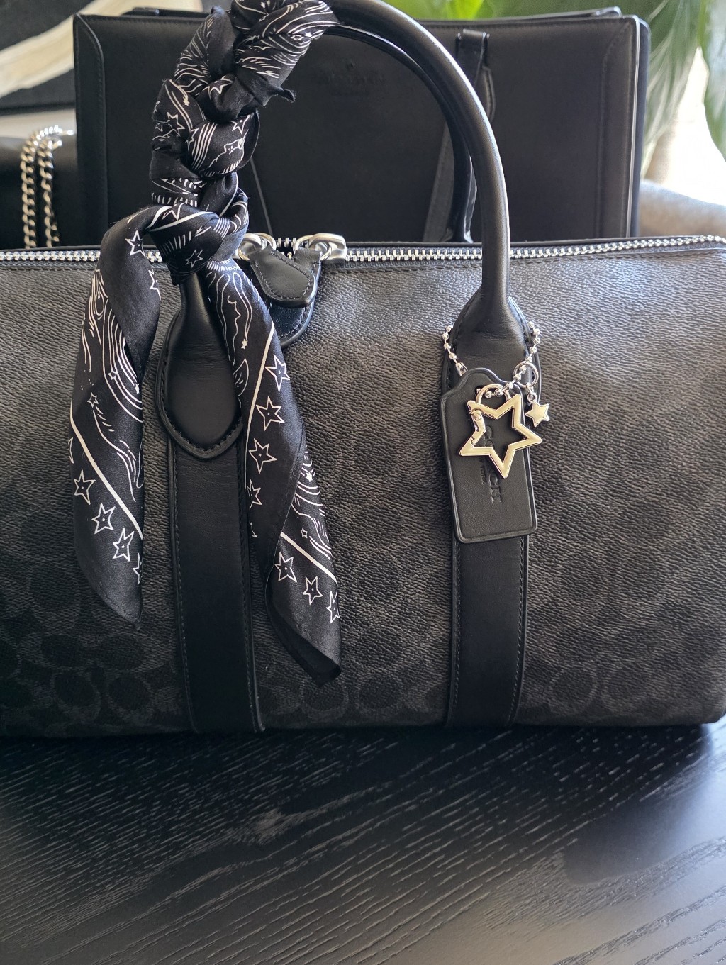 Coach Signature Compass 35